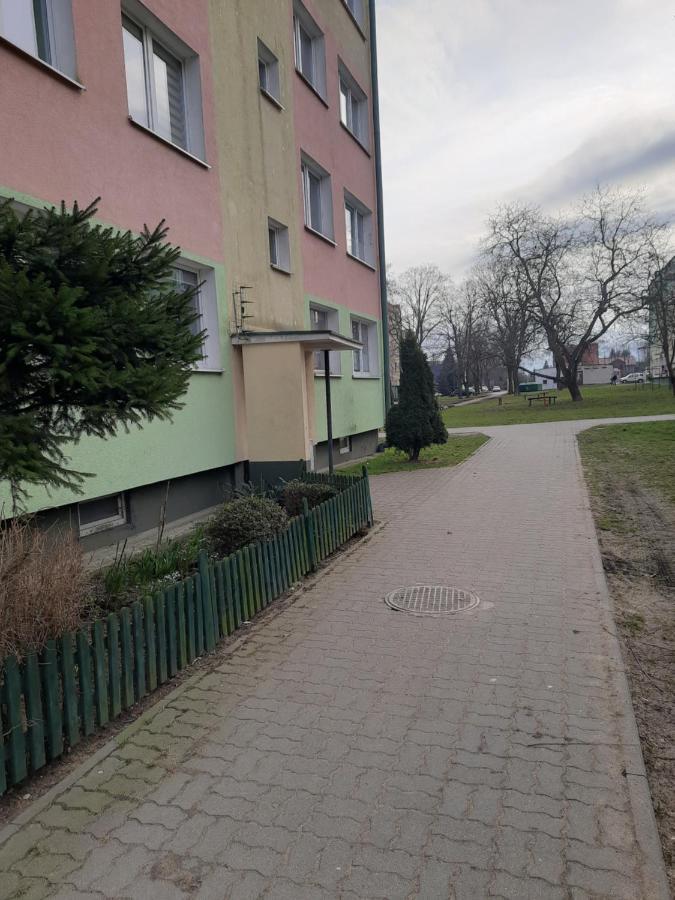 Apartment Family Swiecie (Kuyavian-Pomeranian)