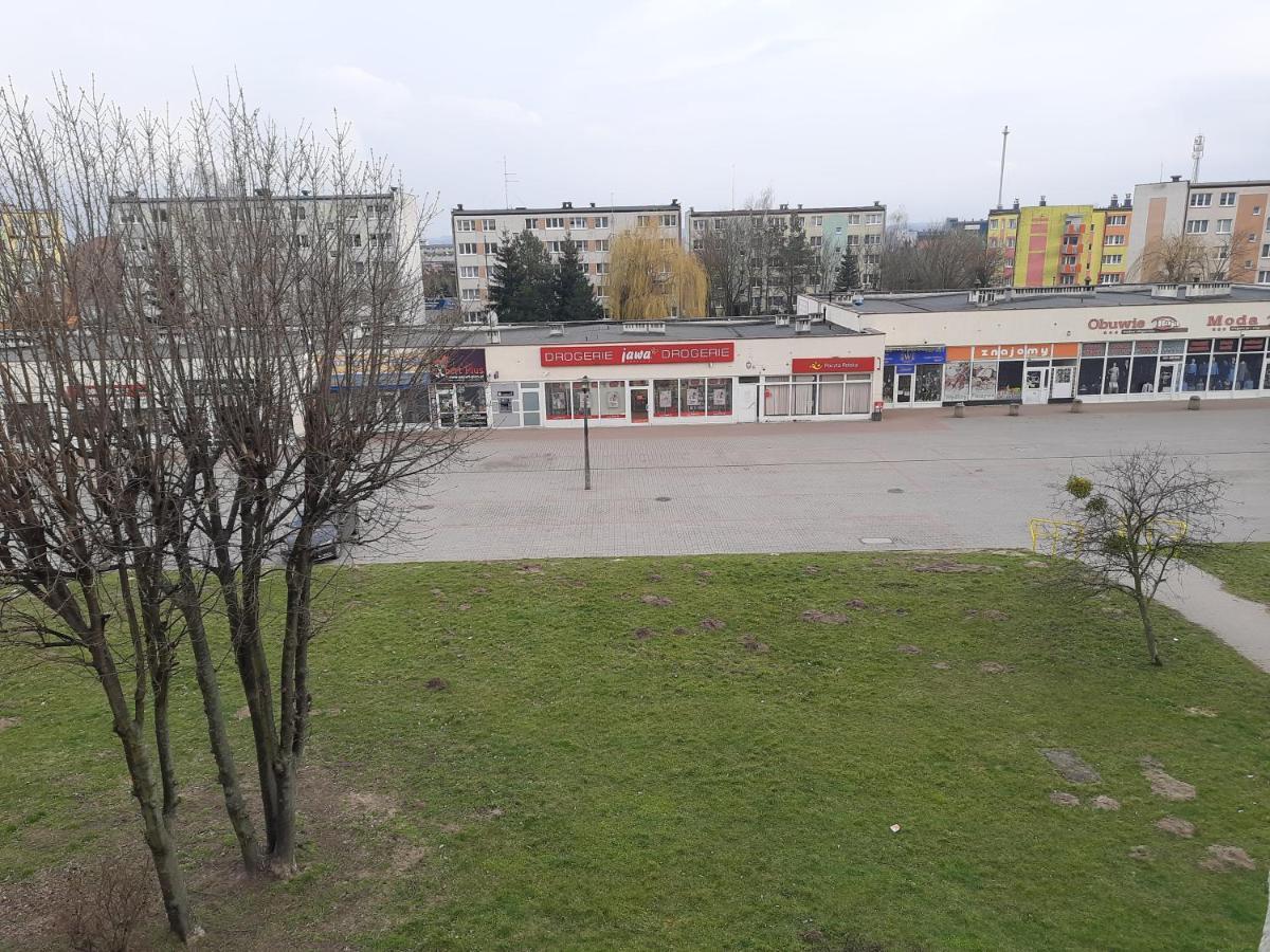 Apartment Family Swiecie (Kuyavian-Pomeranian)